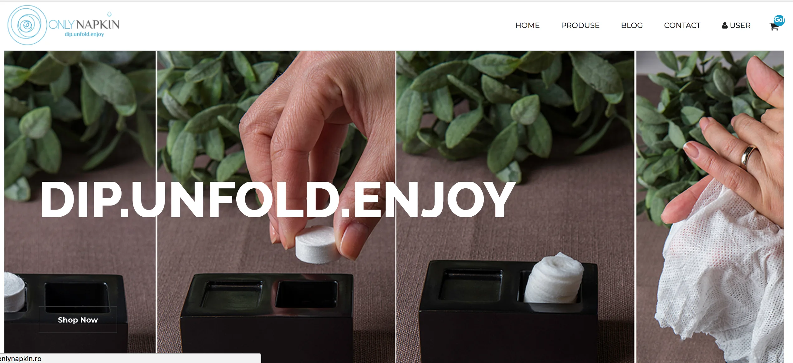 onlyNapkin.ro
