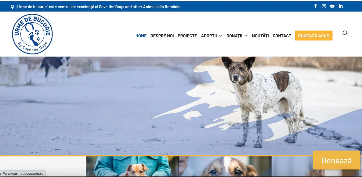 urmedebucurie.ro